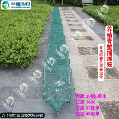 兰新渔具养殖青蟹捕抓笼青蟹笼蟹笼海蟹笼