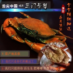 原产地直供批发 海鲜水产大螃蟹 鲜活海蟹 正宗三门青蟹