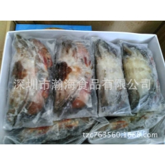 软壳蟹 螃蟹青蟹 海鲜水产品 进口  无包冰