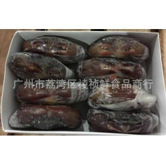 缅甸软壳蟹/青蟹