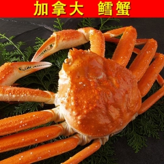 【皇冠信誉】一手货源 烧烤食材 加拿大 板蟹 鳕蟹 雪蟹