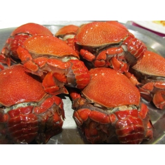冷冻海鲜 直供老虎蟹 贵妃蟹 酒店 料理食材