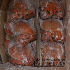 长期供应酒店食材 泰国进口老虎蟹 规格齐全饱满老虎蟹 一手货...