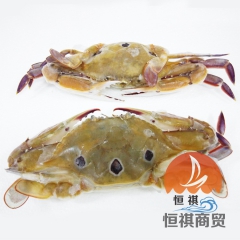 厂家直供 恒祺商贸  大泡沫箱野生红膏三点蟹 福建冷冻三眼蟹