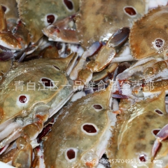 广东生冻三点蟹 酒店食材专用 海鲜水产 天然健康 梭子蟹