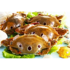 家之宴食品  批发直销鲜活海鲜海产品 冷冻三点蟹 野生 冻蟹