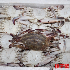 海鲜批发 三点蟹 切蟹 白蟹 厂家直销 价格优惠 全规格