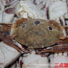 中华老字号 东阿阿胶桃花姬阿胶糕300g