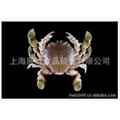 中华老字号 东阿阿胶桃花姬阿胶糕300g