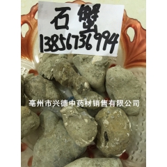 冷背中药材批发优质正品 石蟹 石螃蟹 药店供货 诚信经营