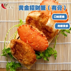 一家人黄金招财蟹 有膏黄多石蟹 5KG/箱 大小2种规格 3...