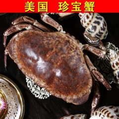 【皇冠信誉】一手货源 肉质饱满【深海野生】活冻 美国 珍宝蟹