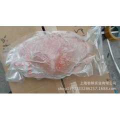 供应珍宝蟹、面包蟹、黄金蟹、供应海鲜、鲜活海产品