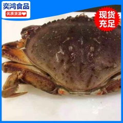 大型海鲜水产品珍宝蟹 冷冻蟹类海鲜批发