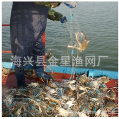 专捕螃蟹单层捕蟹子粘网，河蟹、养殖螃蟹，海洋捕捞肥蟹挂子