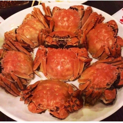 大闸蟹   太湖蟹