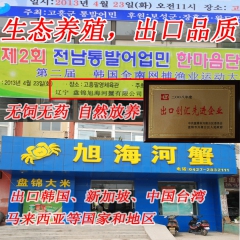 盘锦旭海河蟹，盘锦河蟹，中华绒螯蟹，河蟹批发，河蟹出口