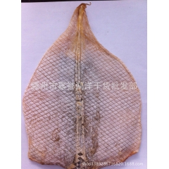 鱿鱼花/干鱿鱼花  鱿鱼   物美价廉 营养丰富 自产自销