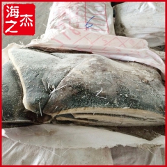生产供应 船冻秘鲁鱿鱼大尾 冰冻鱿鱼 秘鲁鱿鱼