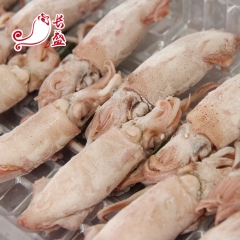 冷冻海鲜水产品 速冻鲜鱿鱼 冻熟活鱿鱼管 冷冻批发 厂家直销