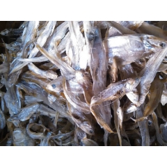 海鲜干货 海鱼干 凤尾鱼丁香鱼沙丁鱼 鸡毛翎鱼 咸鱼干