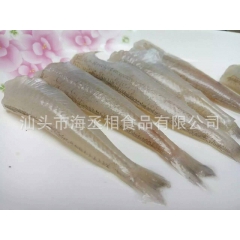 去头沙丁鱼  去头沙梭鱼    沙梭鱼  酒店食品 特色食材