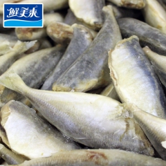 [鲜美来]B3196 直供 冷冻三去沙丁鱼 13-14 全国...