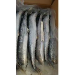 中华老字号 东阿阿胶桃花姬阿胶糕300g