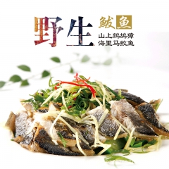 地球鱼海鲜鲅鱼