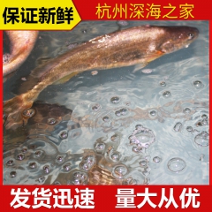 深海野生海鲜黄鱼 冷冻保鲜原生态大黄鱼 满1000元江浙沪包...
