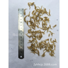 优质海黄鱼 好吃可口
