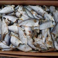 日照特产海鲜食品香酥小黄鱼 山东优质海鲜小黄鱼供应商 物美价...
