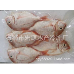 深加工水产品 亦宗鱼 带鱼段 红目鲢 午鱼 红鲷鱼 盐渍鲭鱼...