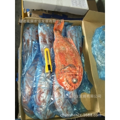 新西兰原装冻橙鲷鱼，长寿鱼，万寿鱼，富贵鱼，原条三去马面鱼