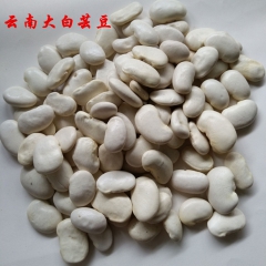 批发销售天然农家大白芸豆五谷杂粮豆类雪豆云南白芸豆39.4斤...