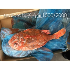 中华老字号 东阿阿胶桃花姬阿胶糕300g