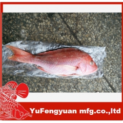 中华老字号 东阿阿胶桃花姬阿胶糕300g