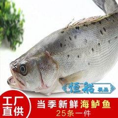 中华老字号 东阿阿胶桃花姬阿胶糕300g