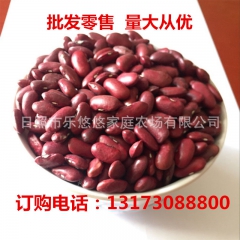 批发五谷杂粮肾豆 黑土地种植粮食 精选 优质东北红芸豆一件代...