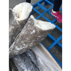中华老字号 东阿阿胶桃花姬阿胶糕300g