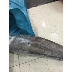 供应 智利  法国 银鳕鱼 3-4kg  4-6kg