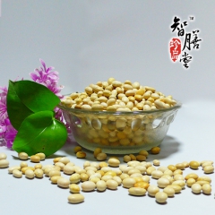 厂家直供/白芸豆 低温烘焙 优质手选 现磨五谷粉原料