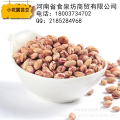 小花圆芸豆 有机圆奶芸豆缅甸进口 奶小花豆厂家直销五谷杂粮批...