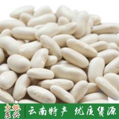 热销推荐 云南优质有机大白芸豆 籽粒饱满大白芸豆65粒
