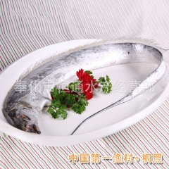中华老字号 东阿阿胶桃花姬阿胶糕300g