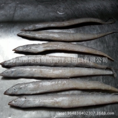 舟山冷冻带鱼（东海小眼睛野生带鱼 ）正宗舟山冷冻水产品批发