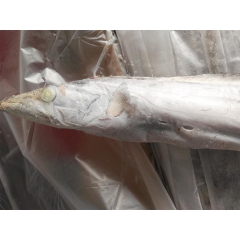 中华老字号 东阿阿胶桃花姬阿胶糕300g