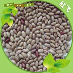 中华老字号 东阿阿胶桃花姬阿胶糕300g