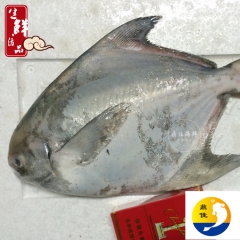 中华老字号 东阿阿胶桃花姬阿胶糕300g