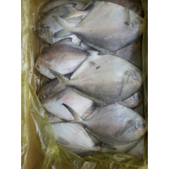 中华老字号 东阿阿胶桃花姬阿胶糕300g